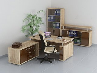 Мебель для директора